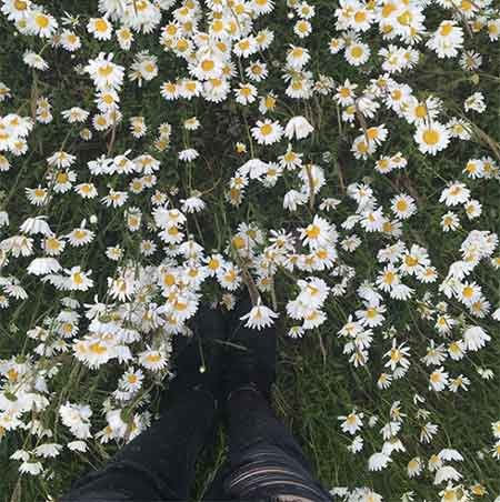 دانلود آهنگ گیسو گل مصطفی ابراهیمی